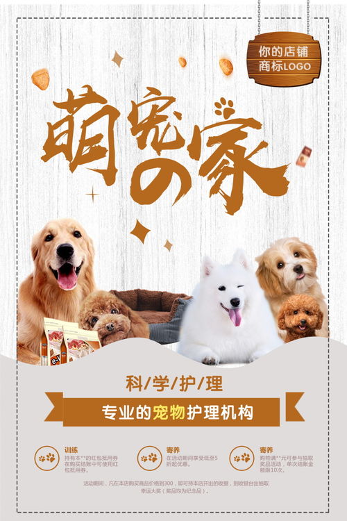 寵物店海報(bào)萌寵貓狗狗護(hù)理寵物用品寵物美容psd設(shè)計(jì)模板ps素材 寵物海報(bào)